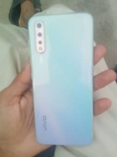 vivo