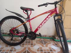 Caspian 26 inch bicycle