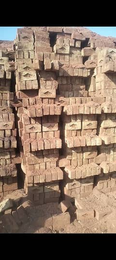 Bricks