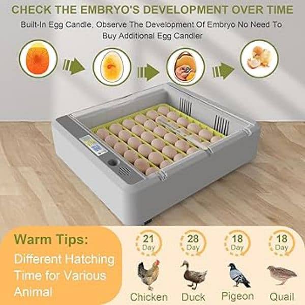 Best Quality Automatic Incubators|imported incubators|eggs hatching. 0