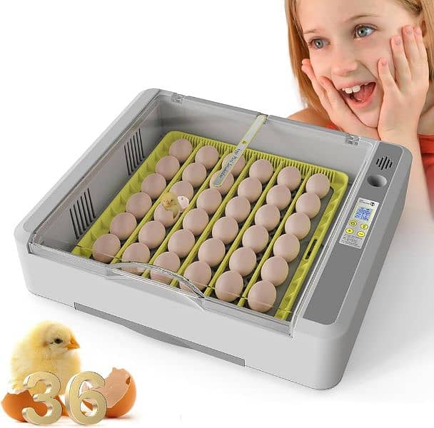 Best Quality Automatic Incubators|imported incubators|eggs hatching. 1