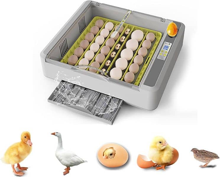 Best Quality Automatic Incubators|imported incubators|eggs hatching. 2