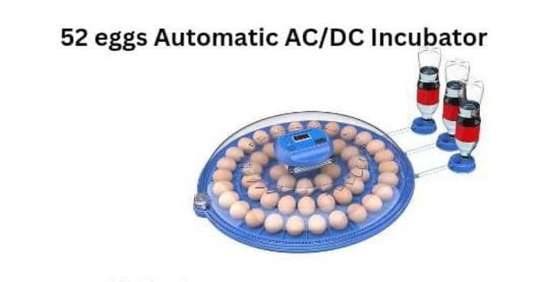 Best Quality Automatic Incubators|imported incubators|eggs hatching. 4