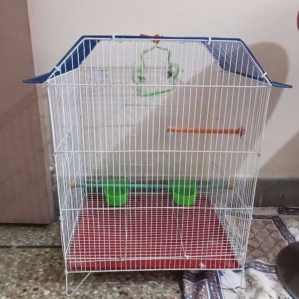 New cage 1