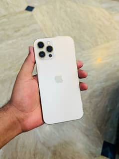 iphone 12 pro max Pta approved