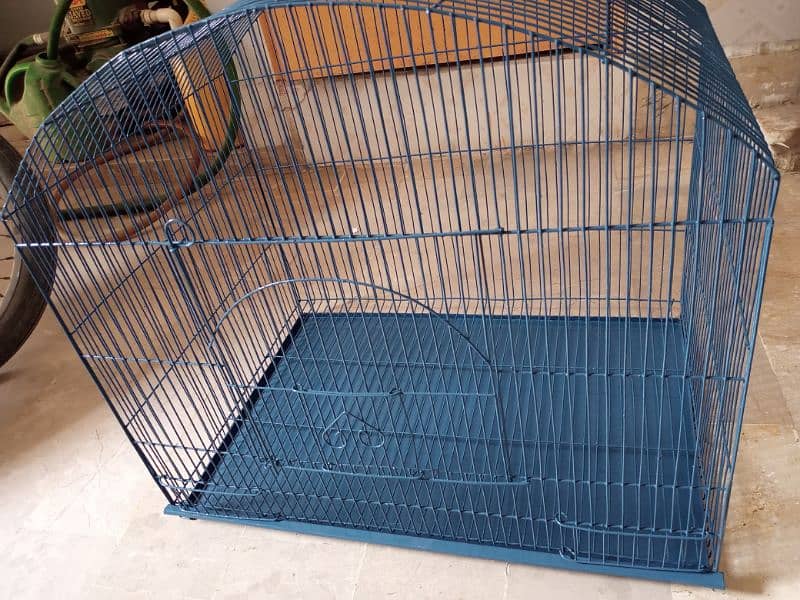 Birds cage 3