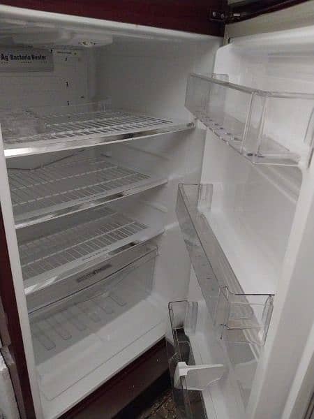 pell new medium size 15 kb  frige 1