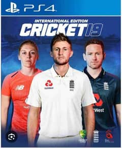 Cricket 19