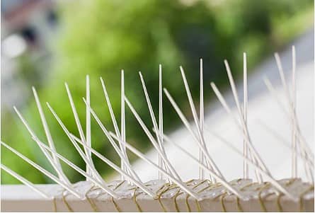 Razor Wire | Chain Link Fence | Birds Spikes | Barbed Wire 5