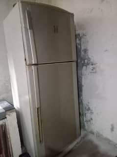 Tow Door freezer