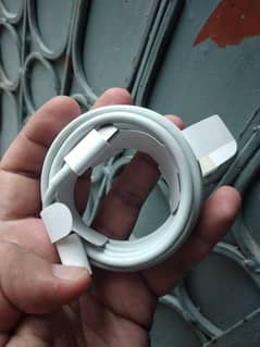 Apple Original Type-C Cable