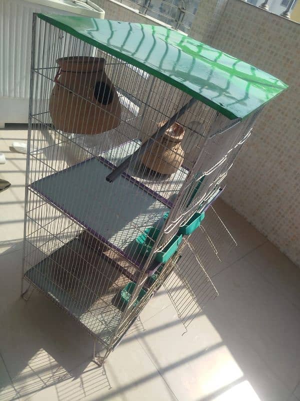 birds cage 1