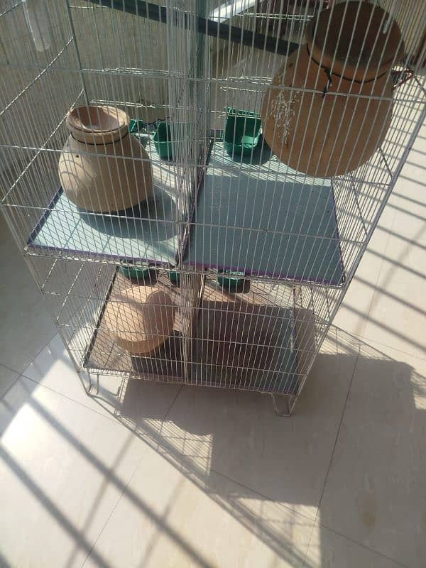 birds cage 3