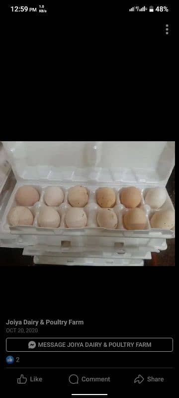 Desi Eggs Are available for Sale in Sham Ke Bhattain Near Manga Mandi 2