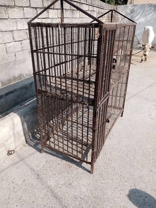 Cage For sale 1