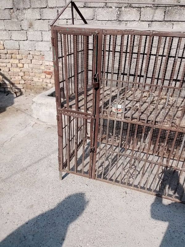 Cage For sale 2