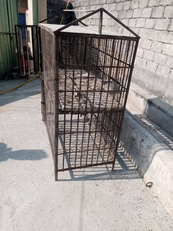 Cage For sale 3