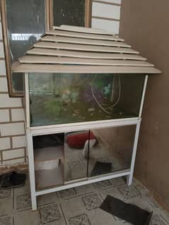 fish tank urgent sale