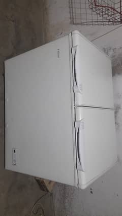 HAIER Double Door Freezer