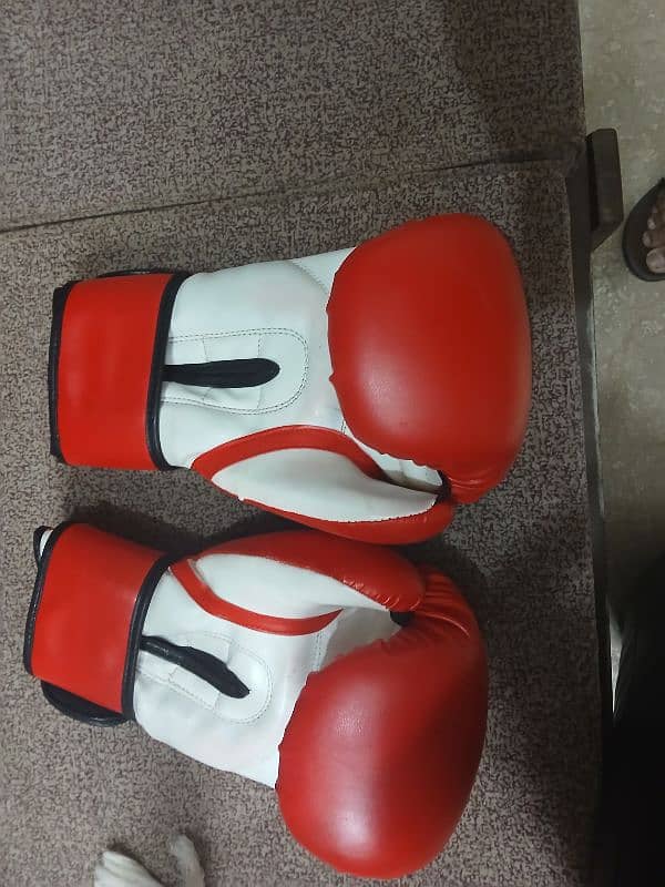 Boxing gloves for sale 2