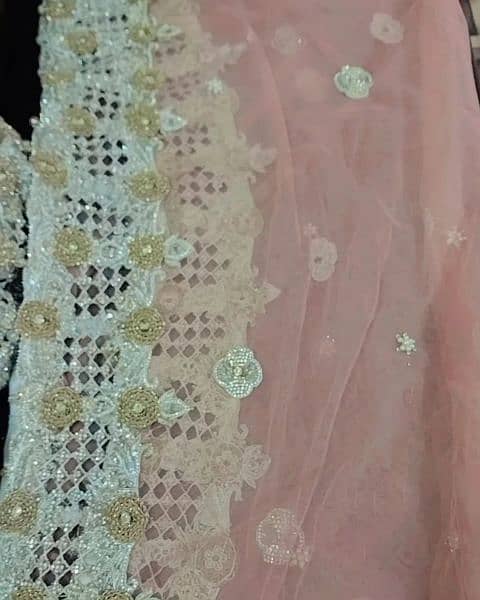 walima maxi 1