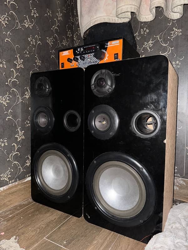 8 inch Woofer 1