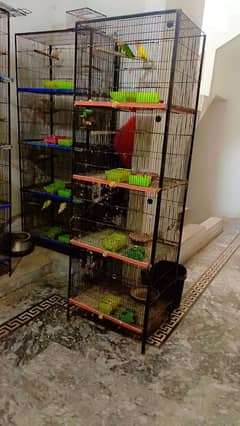 cages for sale in reasonable price