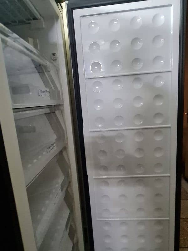 Pel Vertical deep freezer. 2