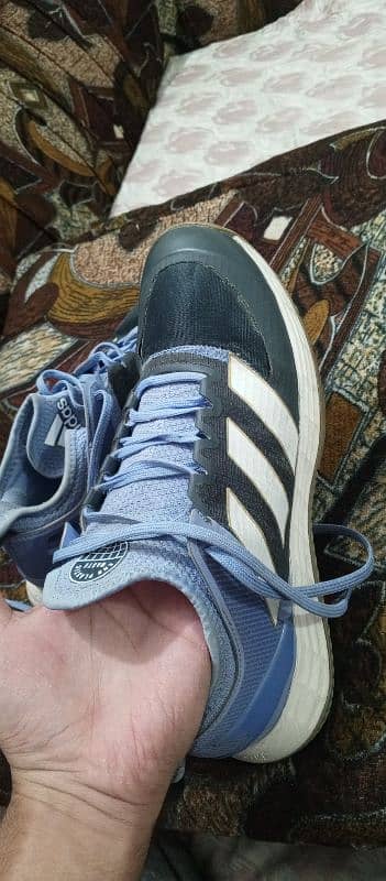 Badminton/ Squash 100% Original Adidas shoes 10/10 condition. 8 number 3