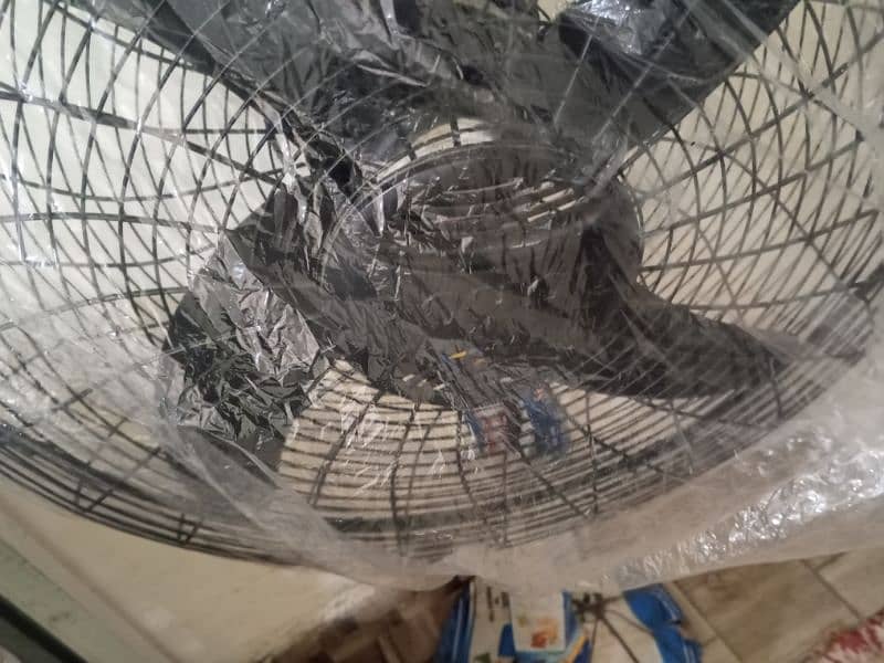 brand new condition royal fan 5