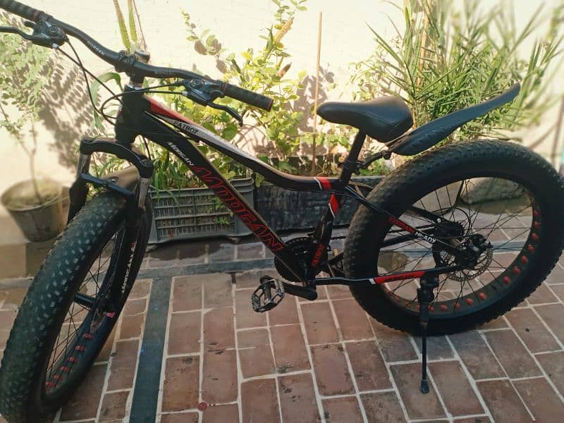 Bicycle for sale 1