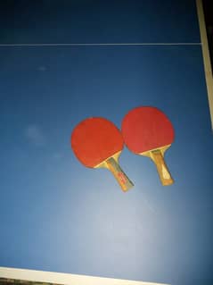 Table tennis full size table with 2 rackets and net