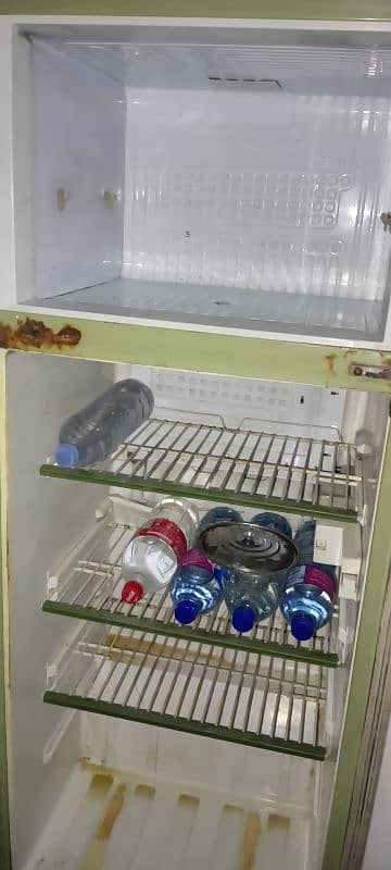 Pel Refrigerator 3