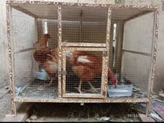 HENS CAGE FOR SALE IN REASONABLE PRICE 0