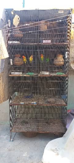 cage for sell urjent