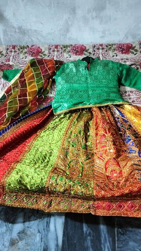 Lehnga,dupta,Kurtii with Earrings teka 5