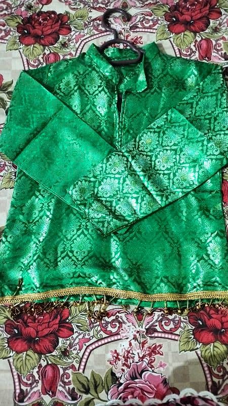 Lehnga,dupta,Kurtii with Earrings teka 6