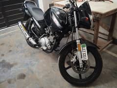 Yamaha ybr 125 0