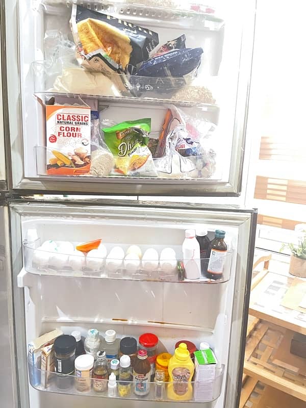 PEL refrigerator 1