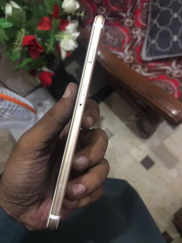 iphone 7 plus rose gold 1