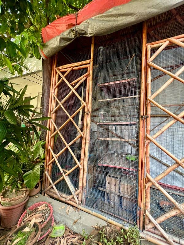 BIRDS AVIARY(CAGE) FOR SALE. 6