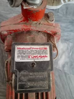 Shahzad Pump pak 1