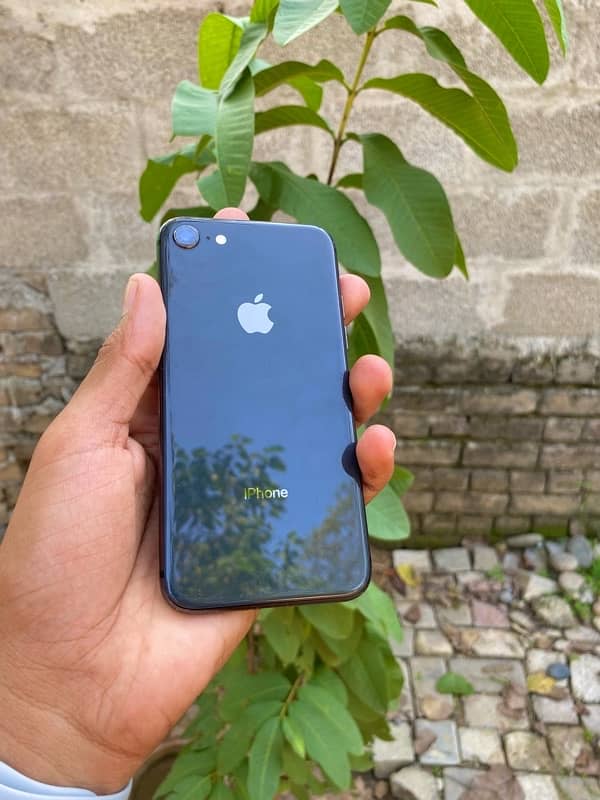 iPhone 8 Non Pta 64 Gb 1