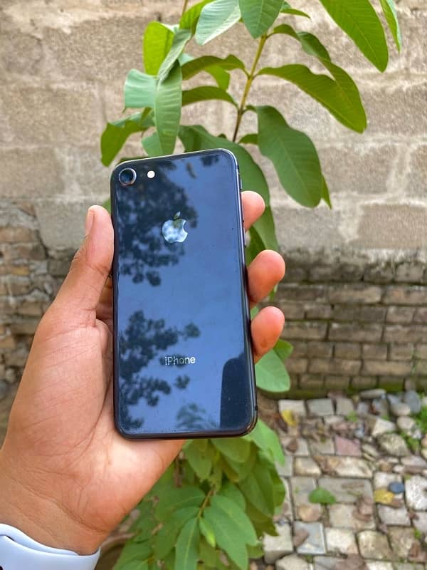 iPhone 8 Non Pta 64 Gb 3