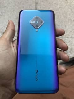 vivo