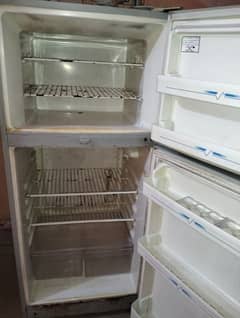 Higher fridge medium size 0