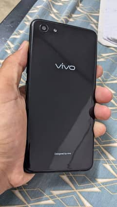 Vivo