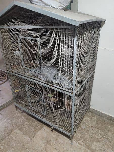 Cage for Sale 2