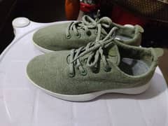 Allbirds Wool Runners