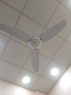 Ceiling fan